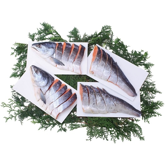 �k�C���Y��ѐV�����p�ؐg 76102 �摜1