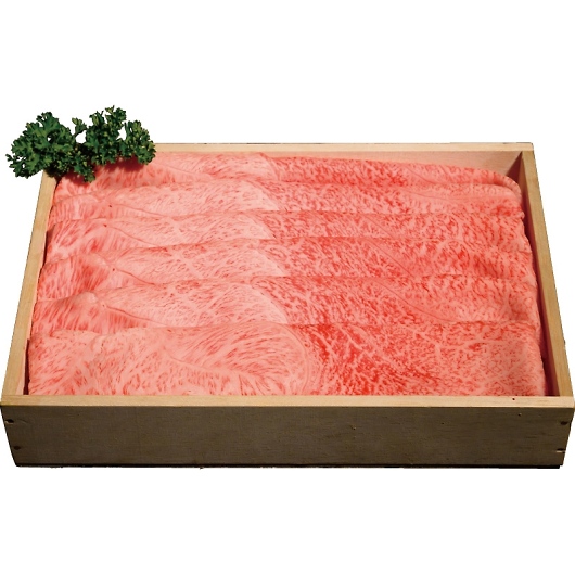 �_�ˋ������Ă����i�����j 91323 �摜1