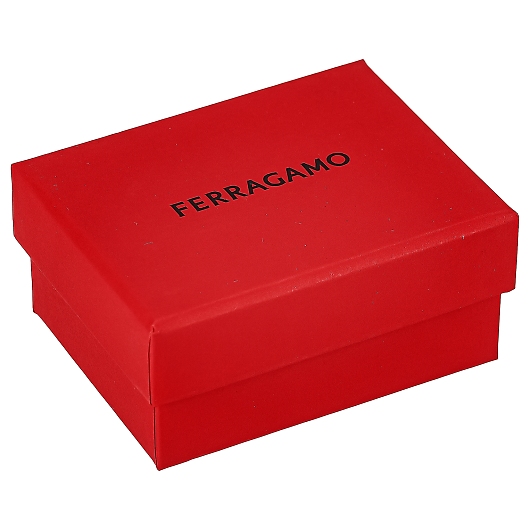 Ferragamo tFK sAX 760386 PE/OR 摜3