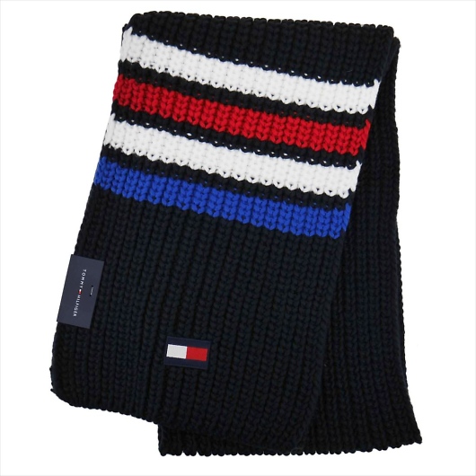 TOMMY HILFIGER g~[tBK[ 2019AW }t[ 1CT0232403 SKY 摜1
