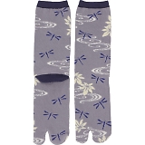 �a�m�������� ��x�U�炵 31904804