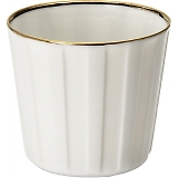 ���c���� �ق̂� ���b�N�J�b�v �X�g���C�v ODA01-2052B