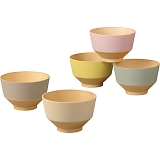 ���X�F �R�ۏ`�o 5�q�Z�b�g 17147