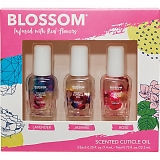 �u���b�T�� �l�C���I�C���M�t�g�Z�b�g BL-GS5