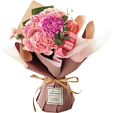 �X�^���f�B���O�u�[�P �s���N