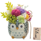 �a�������킹�ӂ��낤 �������肪�Ƃ��i�v���U�[�u�h�t�����[�j