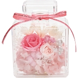 �v���U�[�u�h�t�����[ �t���[���E�A���E�u�e�C�� ncr-26-pr-bottle