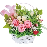 �v���U�[�u�h�t�����[�ē��� �s���N 1000136029