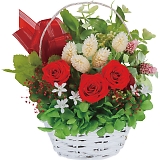 �v���U�[�u�h�t�����[�ē��� ���b�h 1000136028