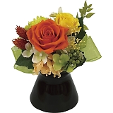 �ʉ؁i�v���U�[�u�h�t�����[�j �I�����W bc-13571-OR