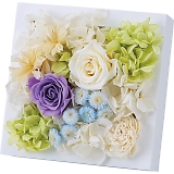 �v���U�[�u�h�E�H�[���t�����[�i�X�N�G�A�j �p�[�v�� ncr-wallpri02-pu