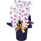 �A�[�e�B�t�B�V�����t�����[ ��� 3�{���Ӓ��� �z���C�g�r���[�e�B�[ ncr-24019-3-wb