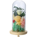 �������K���X�h�[���A�����W�����g �H�� C20030L