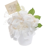 �v���U�[�u�h���� ���@ ncr-25-bk03