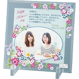 �t�H�g�f�R���K���X�t���[���i�I�����[�����t���[���j�i���d�����j PDM06501