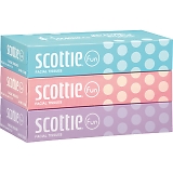 �X�R�b�e�B�t�@��120�g�i3���p�b�N�j 48809