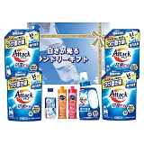 ���������郉���h���[�M�t�g AX-80C