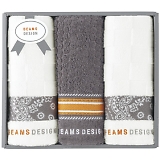 BEAMS DESIGN `FbJ[o_i tFCX^I3P O[ 51-3139300GY