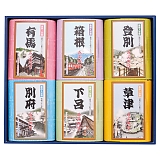 �������� ��p�����܃M�t�g�Z�b�g MSN-20