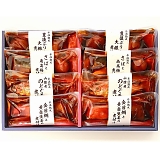  uRA叼v Xn y؃MtgZbgia̐Sj 6790002