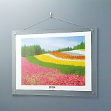 �A�N�������s�N�`���[�t���[�� �Ǌ|���^�C�v �-ACH-A2