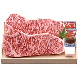 �琬�� �ߍ]�� �T�[���C���X�e�[�L2�� SEN-481