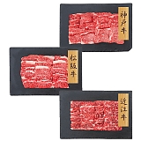 �v���[���[�h�b�O �t�@�[�� �y�a��3��u�����h�z �_�ˋ��E���㋍�E�ߍ]���ē��o�� PFN-038