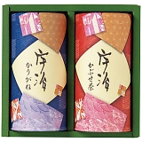 �F�����l���� IC-25