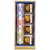 ͓x͉ ԗx aَql FR-10