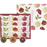 ���s �{�V�� �a��I�̏Ă������u����