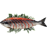 ���g���p�ؐg�i1���j