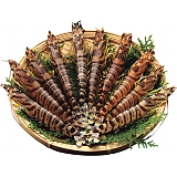 ��^�����ԊC�V�i230g�j