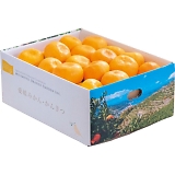 ���Q�����F�a�Y ���B�݂���i3kg�j