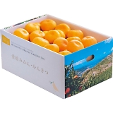 ���Q�����F�a�Y ���B�݂���i5kg�j