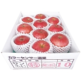 �X���Y ���x14�x�ۏ؃T���ӂ���2.5kg