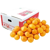 �呺�_�� �F�{���Y �V���݂����3kg