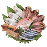 �C������ ���}�� K-1