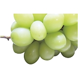 �_�C���ʉ� �V���C���}�X�J�b�g SYM-80RW