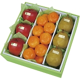 �_�C���ʉ� �E�C���^�[�t���[�c�l���� WF-55RW