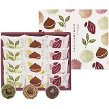 ���s �{�V�� �a��I�̏Ă������u���� YJ-SCM12