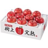 �X���Y ���㊮�n�T���ӂ���� 10�� H-A8S