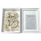 �T�����C�Y�t�[�Y �^�ӂ��̓��g�� SRF-NK-25