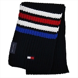 TOMMY HILFIGER g~[tBK[ 2019AW }t[ 1CT0232403 SKY